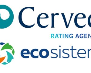cerved ecosistem